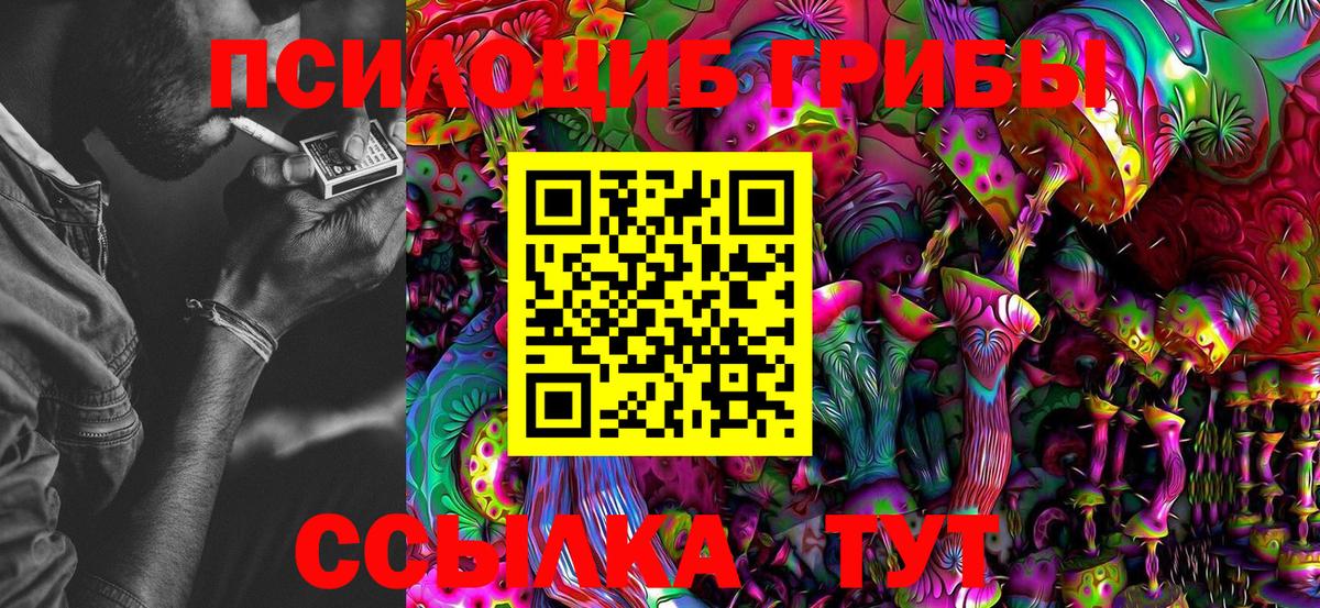 Псилоцибиновые грибы MAGIC MUSHROOMS  Псилоцибиновые грибы мухоморы  Вход с VPN  Георгиевск 